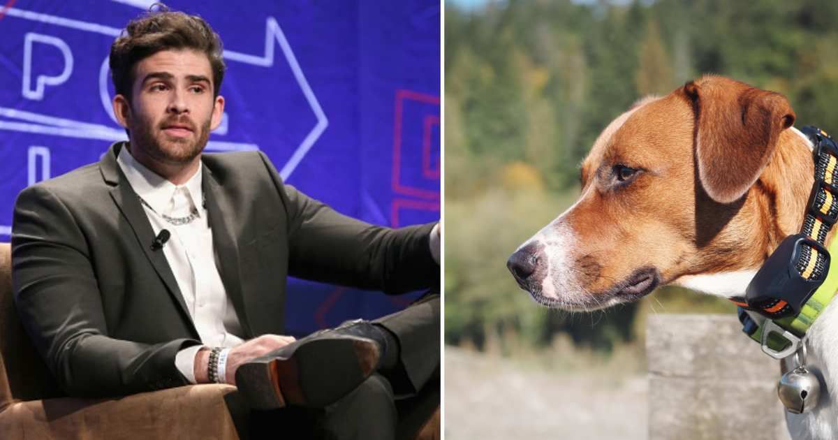 (L) Hasan Piker speaks onstage during Politicon 2018 at Los Angeles Convention Center. (Cover Image Source: Getty Images | Phillip Faraone); (R) Dog with training collar. (Representative Cover Image Source: Getty Images | Petra Richli)