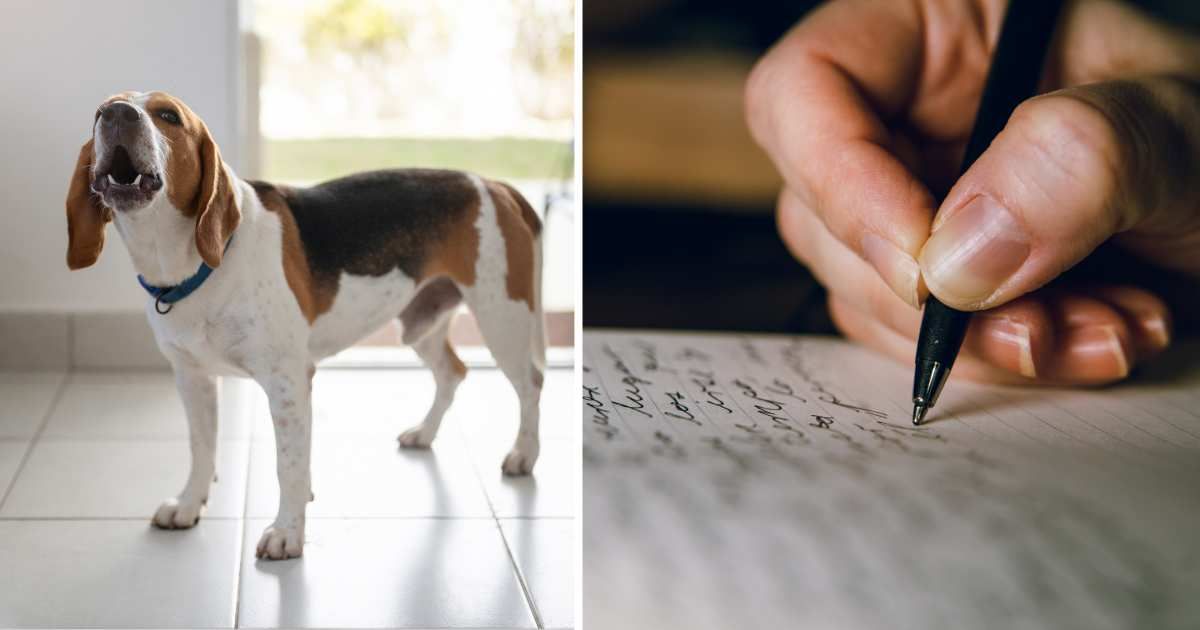 (L) A pet dog barking. (R) A woman writing a note. (Representative Cover Image Source: Getty Images | (L) dimarik, (R) Jacques Julien)