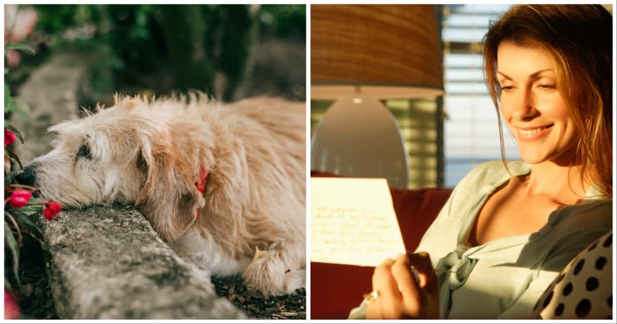 (L ) A dog resting at the backyard ; (R) A woman reading a note (Representative Cover Source: Getty Images | Photo by (L) Carol Yepes ; (R) Mark Edward Atkinson)