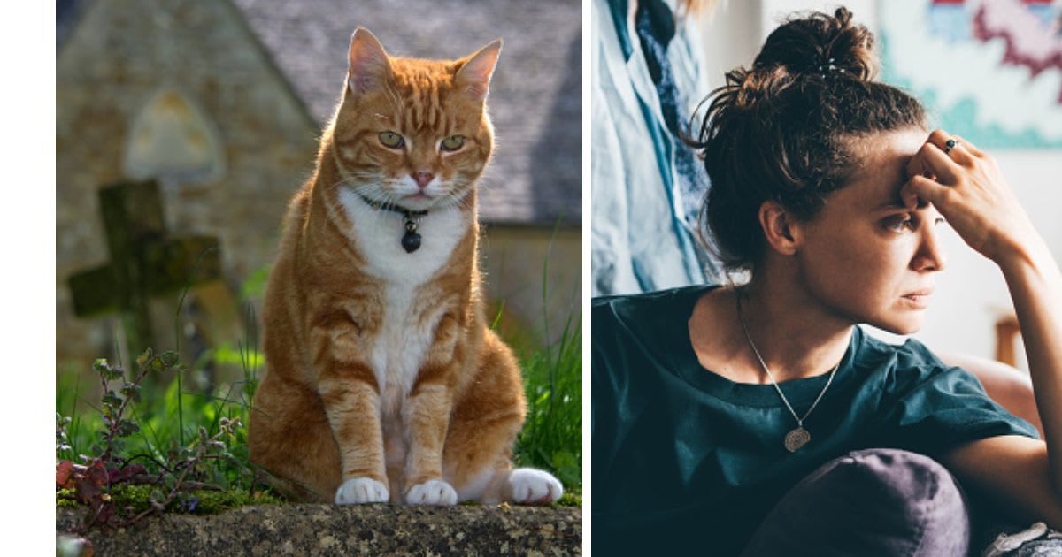 (L) A cat sitting by the grave, (R) A worried woman. (Representative Cover Image Source: Getty Images | (L) Christopher Jones, (R) Maria Korneeva)