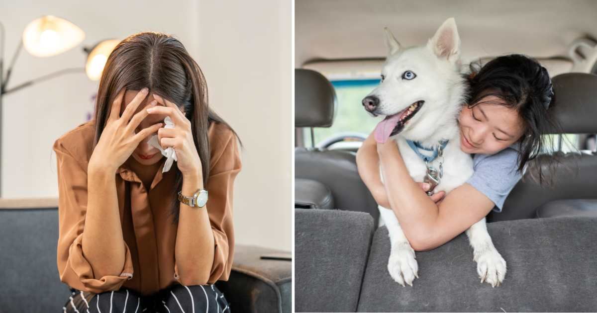 (L) A sad woman crying. (R) A woman hugging her pet dog in the car. (Representative Cover Image Source: Getty Images | (L) Witthaya Prasongsin, (R) Tony Anderson)
