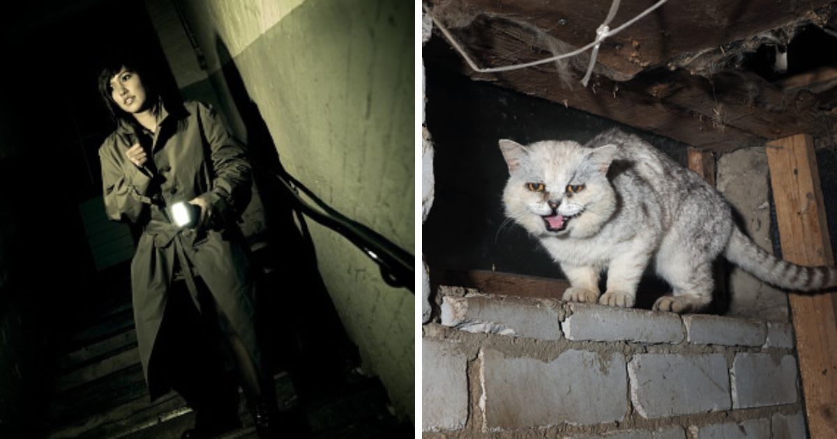 A woman checks out something sinister in the basement, (R) Scary cat in a dirty basement. (Representative Cover Image Source: Getty Images | (L)weareadventurers, (R) kozorog)