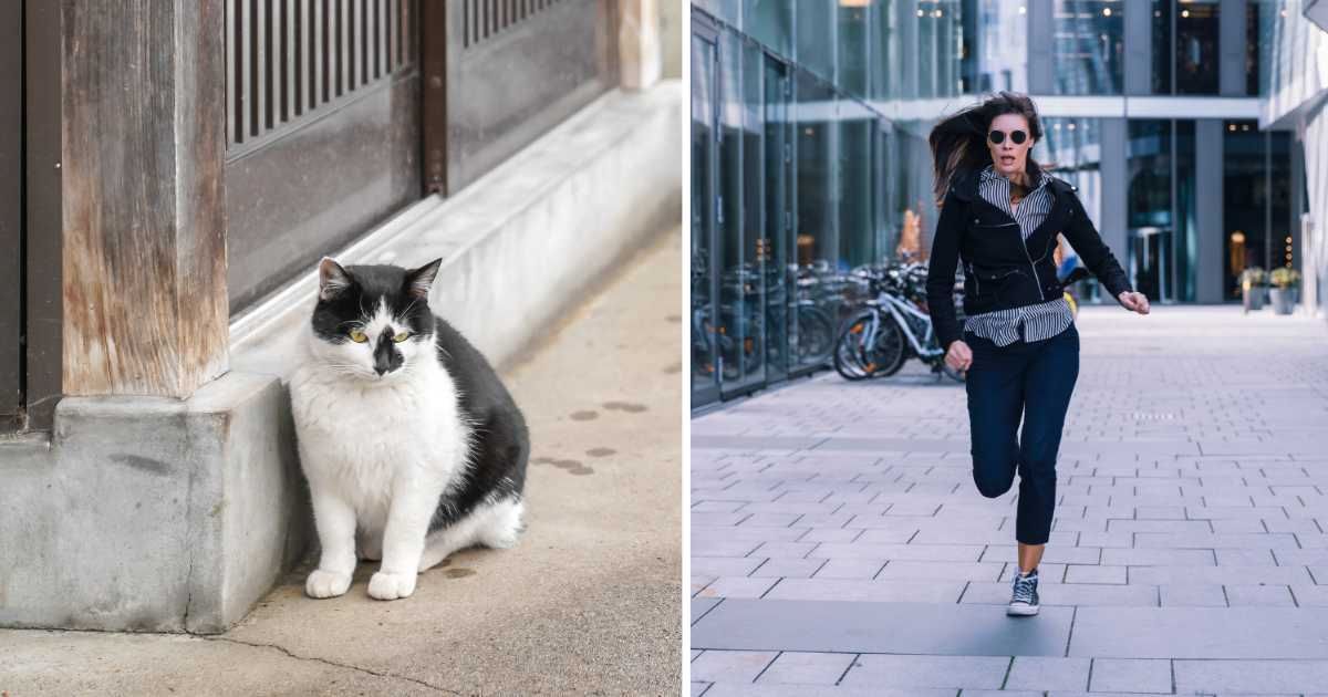 (L) A black and white cat sitting on the road. (R) A woman running away after being caught. (Representative Cover Image Source: Getty Images | (L) surachetsh, (R) Westend61)