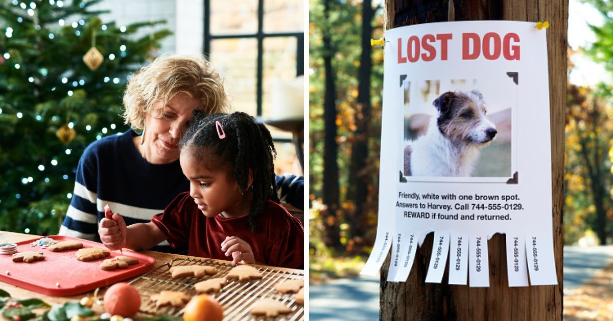 (L) A woman celebrating Christmas with a child, (R) A Lost Dog Poster. (Representative Cover Image Source: Getty Images | (L) 10'000 Hours, (R) Jeffrey Coolidge)