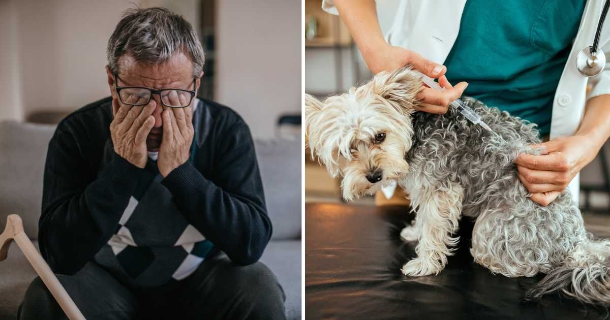 (L) A sad elderly man crying. (R) A dog at a vet clinic getting an injection. (Representative Cover Image Source: Getty Images | (L) Nes, (R) eclipse_images)