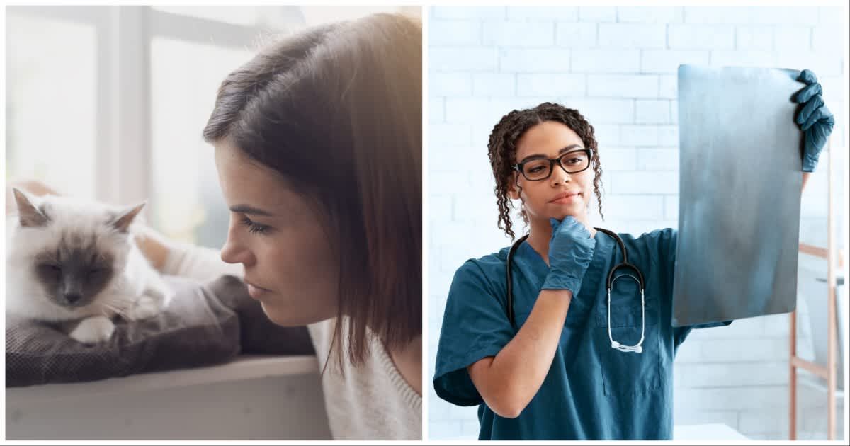(L ) A woman looking at her cat ; (R)A veterinary surgeon studying Xray scan (Representative Cover Source: Getty Images | Photo by (L) cyano66 ; (R) Prostock-Studio)