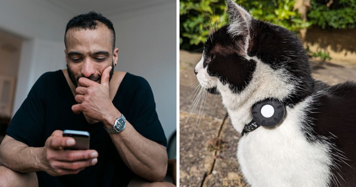 (L) A man reading a text message, (R) A Cat with a GPS tracking collar. (Representative Cover Image Source: Getty Images | (L) Willie B. Thomas, (R) Richard Newstead)