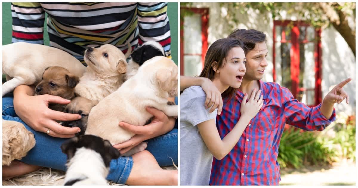 (L ) Woman playing with puppies ; (R) A couple looks surprised (Representative Cover Source: Getty Images | Photo by (L) Slavica ; (R) PhotoAlto/Frederic Cirou)