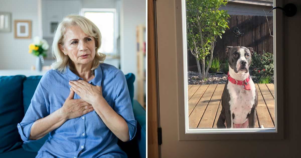 (L) A worried-looking senior woman. (R) A pit bull waiting outside a door. (Representative Cover Image Source: Getty Images | (L) PixelsEffect, (R) Campwillowlake)