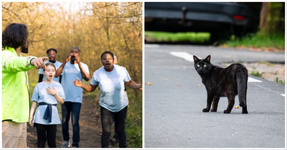 (L ) A rescue party looking for a missing person ; (R) A black cat on the street (Representative Cover Source: Getty Images | Photo by (L) Dragos Condrea ; (R) Jacques Julien)