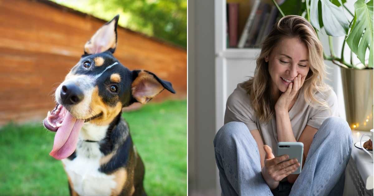 (L) Curious and Happy Tricolor Dog with Tongue out. (R) Happy woman using smart phone. (Representative Cover Image Source: Getty Images | (L) TheDogPhotographer, (R) Dima Berlin)