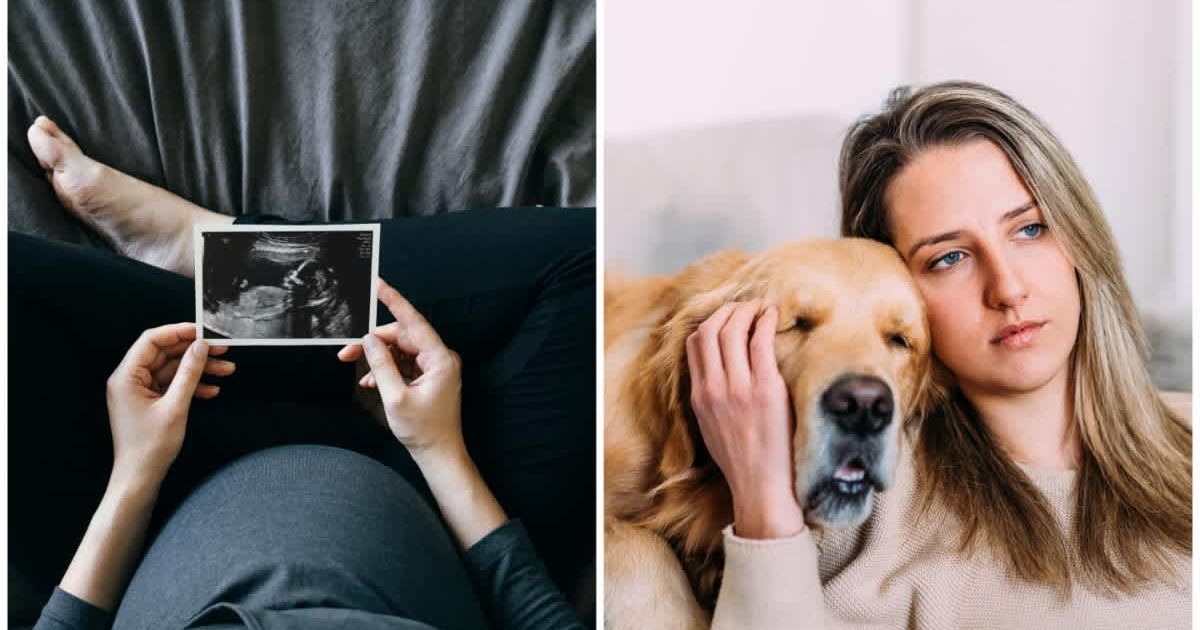 (L) A pregnant woman holding an ultrasound scan photo (R) A sad woman hugs her dog (Representative Cover Image Source: Getty Images | (L) d3sign, (R) Eugenio Marongiu)
