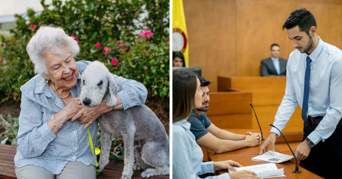 (L) An elderly lady hugging a dog, (R) Lawyer showing evidence in trial. (Representative Cover Image Source: Getty Images | (L) Halfpoint Images, (R) andresr)