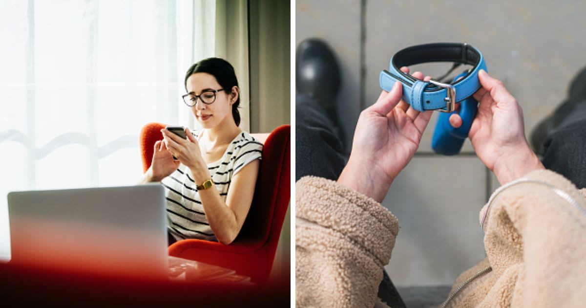 (L) Young Woman Sitting Down Using Smartphone, (R) Broken with grief, female dog grieving owner. (Representative Cover Image Source: Getty Images | (L) Hinterhaus Productions, (R) Solovyova)