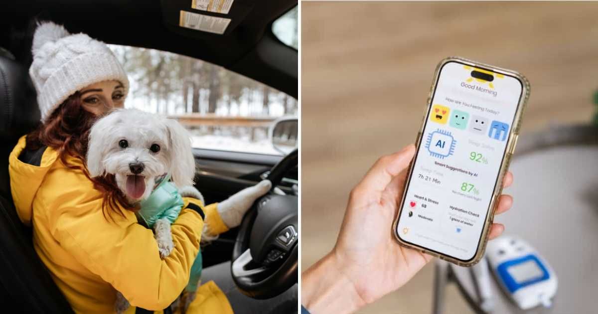 (L ) Woman sitting on driver's seat with dog in car; (R) A person checking the glucose readings on a phone (Representative Cover Source: Getty Images | Photo by (L) Westend61; (R) mith_67)