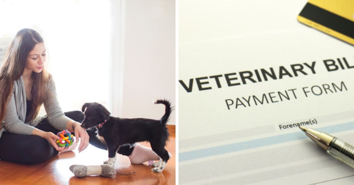 (L) A woman and her puppy, (R) Veterinary Bill Payment form. (Representative Cover Image Source: Getty Images | (L) Thanasis Zovoilis, (R) glegorly)