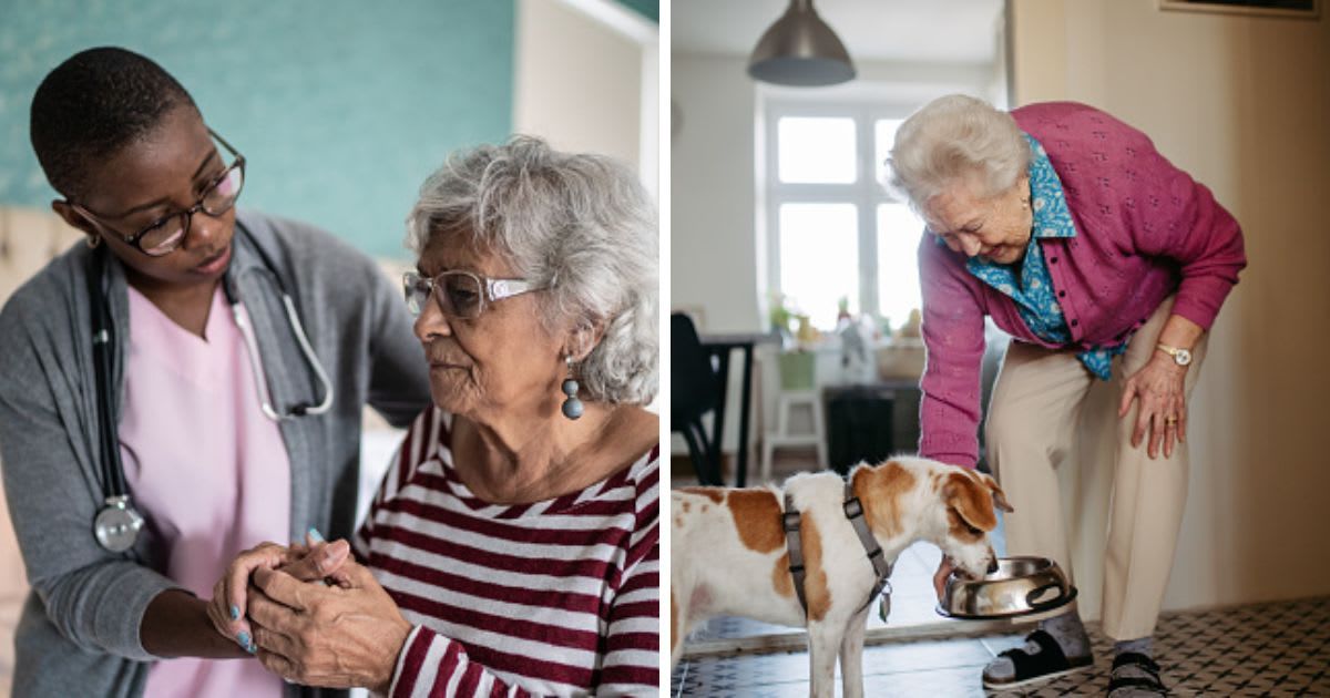 (L) Home caregiver helping a senior woman, (R)Elderly woman feeding her dog. (Representative Cover Image Source: Getty Images | (L) FG Trade, (R) Halfpoint Images)
