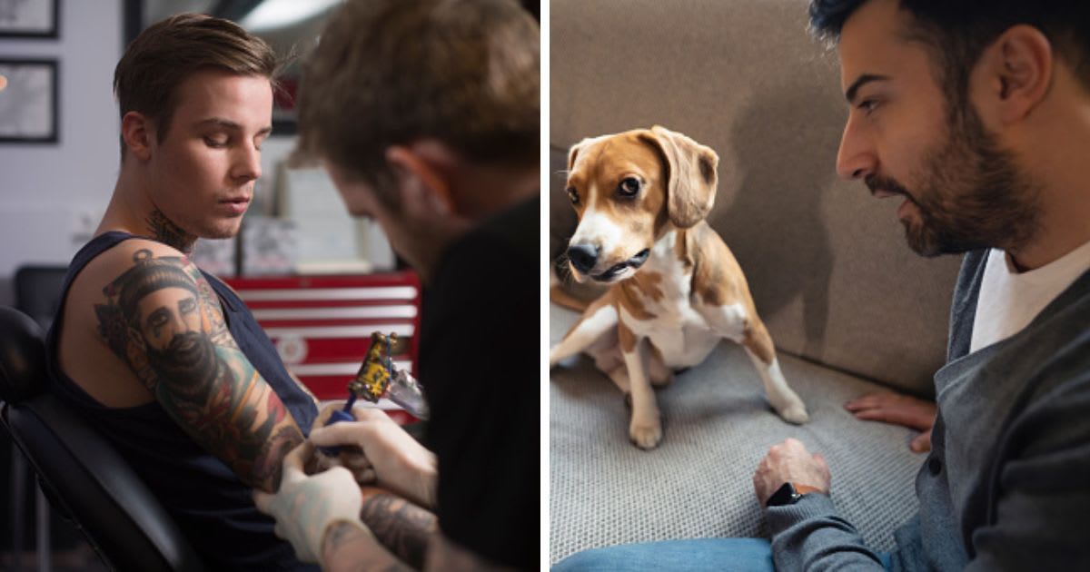 (L) Artist tattooing man's hand, (R) A man scolding his mischief Beagle dog. (Representative Cover Image Source: Getty Images | (L) Portra, (R) SrdjanPav)