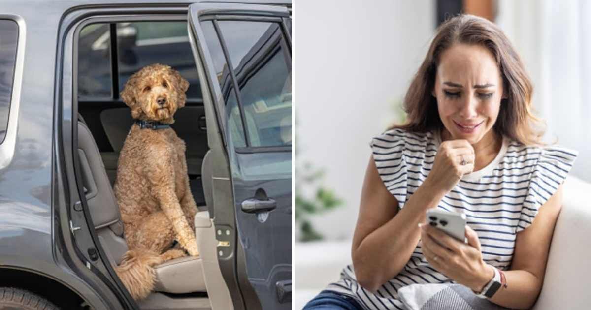 (L) Goldendoodle dog in the back seat of a car, (R) A tearful and shocked woman receives news. (Representative Cover Image Source: Getty Images | (L) JasonDoiy, (R) SimpleImages)