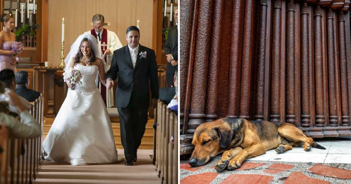 (L) A couple getting married in church. (R) A stray dog sleeping at church's entrance. (Representative Cover Image Source: Getty Images | (L) Lanny Ziering, (R) DC_Colombia)