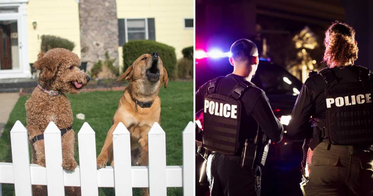 (L) Two pet dogs barking in backyard. (R) Two police officers. (Representative Cover Image Source: Getty Images | (L) Sue Barr, (R) Kali9)