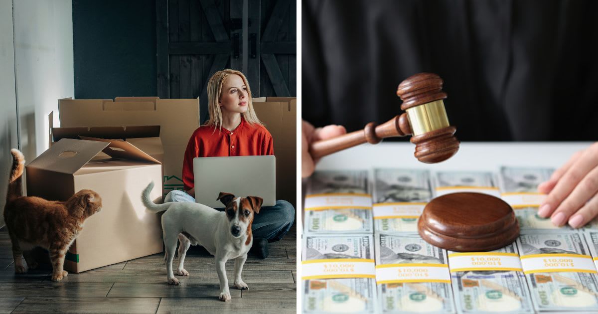 (L) A woman sitting with laptop and pets near cardboard boxes, (R) Judge with wooden gavel and a lot of dollar bills close-up. (Representative Cover Image Source: Getty Images | (L) Westend61, (R) megaflopp)