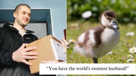 Man goes to grab lunch but returns with a baby duck — Internet says, 'he's a keeper'