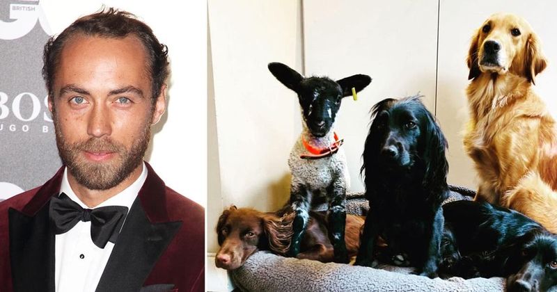 Kate Middleton's Brother James Adds A New Furry Friend To His Family — See The Adorable Photo