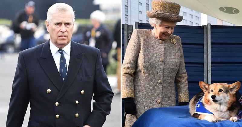 Prince Andrew 'Surprised' Queen Elizabeth With Two New Corgis 'When She Felt Down & Alone In The Castle After Prince Philip Was Taken To The Hospital,