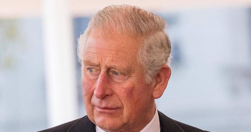 Prince Charles Will Not Let Prince Harry & Meghan Markle's Son Archie 'Become King,' Source Claims