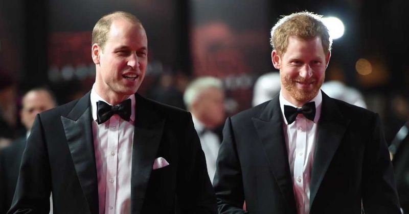Princess Diana's Statue Unveiling Will 'Make Or Break' Prince William & Prince Harry's Relationship, Predicts Expert