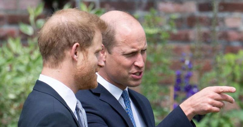 Staying Optimistic! During Their Reunion, Prince Harry Told Prince William, 'We Will Be OK,' Claims Lip Reader