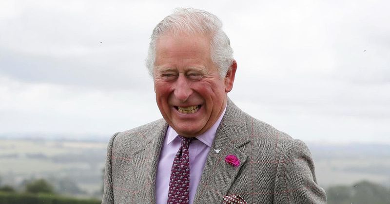 What Are The Odds! Prince Charles Meets Horse Named Prince George While Visiting Wales 