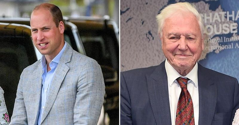 Prince William & David Attenborough Join Forces For Environmental Docuseries 'The Earthshot Prize: Repairing Our Planet'
