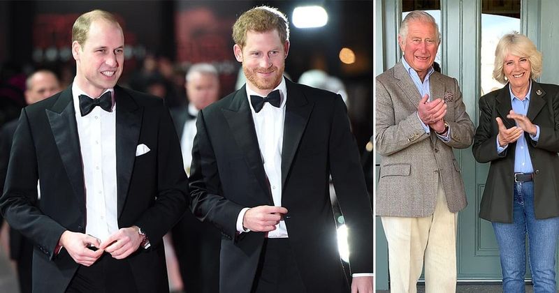 Prince William & Prince Harry Don't Want Duchess Camilla To Receive The 'Queen' Title When Prince Charles Becomes King, Claims Expert