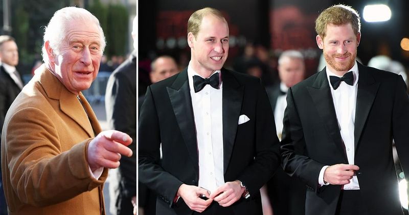 Prince Charles Applauds Prince William & Prince Harry's Environmental Efforts In New Essay: 'I Am Proud That My Sons Have Recognized This Threat'