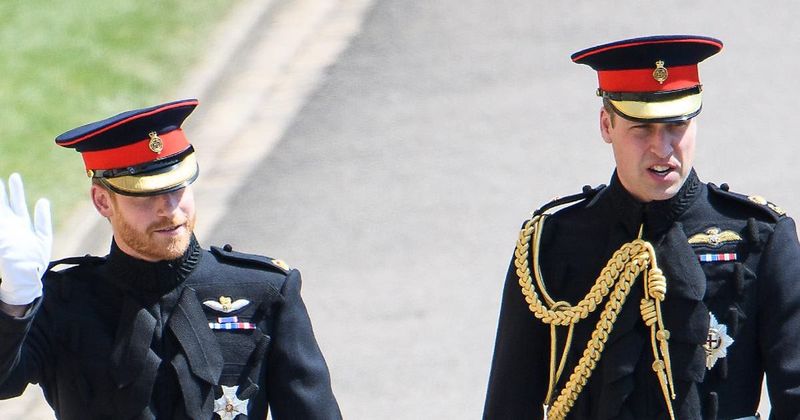 Prince William & Prince Harry Have Been Bonding Over FaceTime, They 'Are Very Much Back On Their Old Buddy Terms,' Source Shares