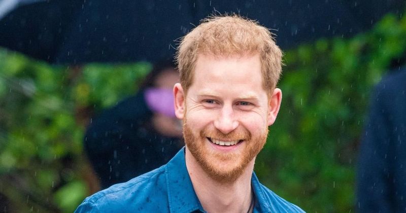 Royal Family May Want Prince Harry To Come Back As 'He Was An Asset,' Author Shares