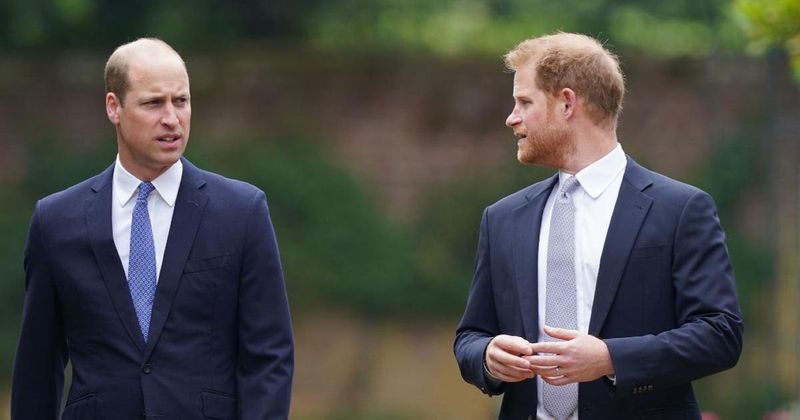 Princess Diana Biographer Says Prince Harry & Prince William May Never Reconcile