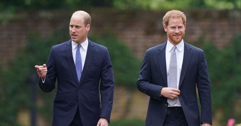 Prince William & Prince Harry's Relationship Is Still 'Dicey,' Expert Warns