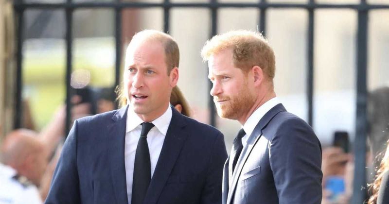 Prince William & Prince Harry Dined Together After Receiving Queen Elizabeth's Coffin