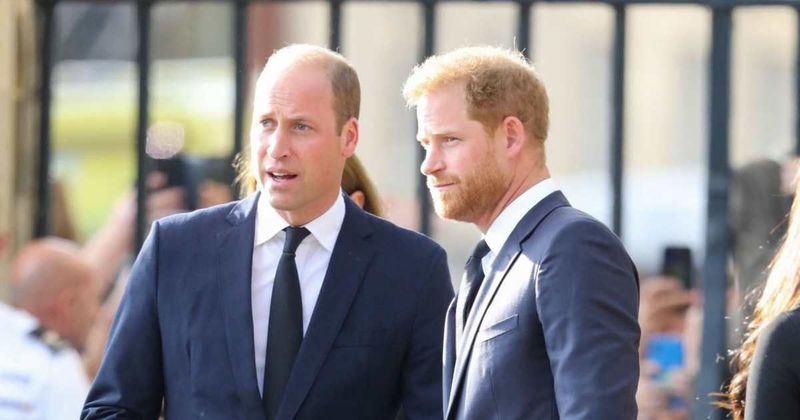 Prince William Was Relieved When Prince Harry Moved To California, Source Dishes: 'The Drama Was Gone' 