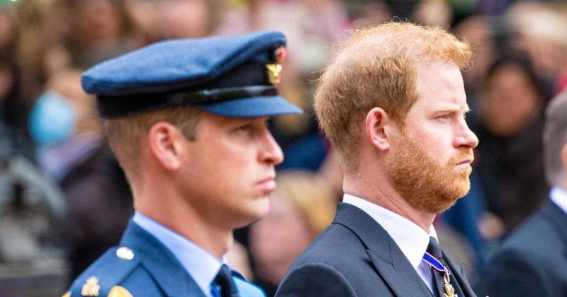 Prince Harry & Prince William's Appearance At Queen's Funeral Was 'Intentionally Planned,' Expert Says