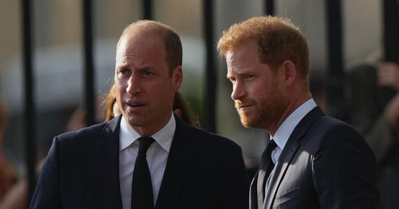 Prince William Has 'Barely Spoken' To Prince Harry Ever Since New Details About 'Spare' Were Released