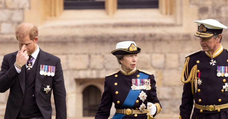 Prince Harry Will Try To 'Minimize The Fallout' Caused By His Memoir, Source Reveals