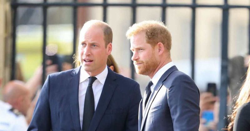 Prince Harry & Prince William Were 'Inseparable' Before Feud, Photographer Claims, But He 'Can't See Them Reconciling' 
