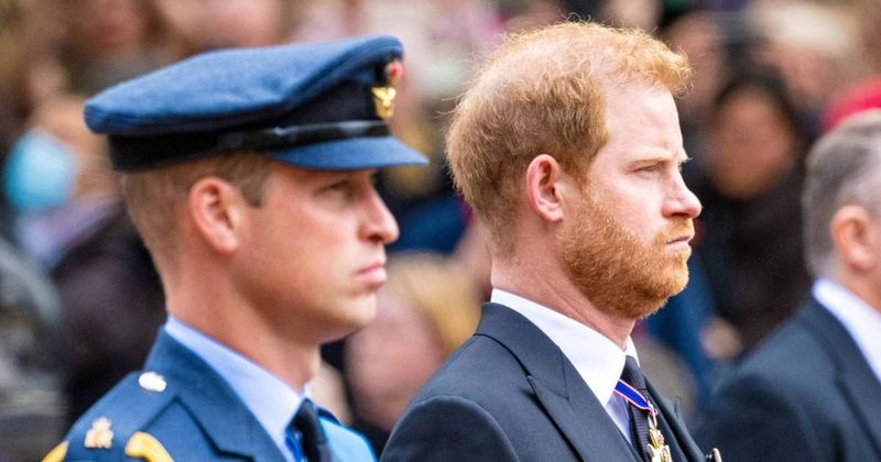 Prince Harry's Memoir Will Reveal How 'He's Always Played Second Fiddle' To Prince William, Feud Will Be Covered