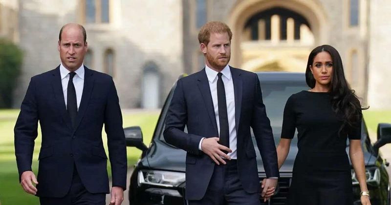 Prince Harry Claims Prince William Attacked Him & 'Grabbed Him By The Collar' Over Meghan Markle In New Memoir