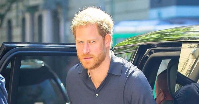 Prince Harry Spotted Walking His Dog In California, Marking First Public Outing Since Memoir Leak