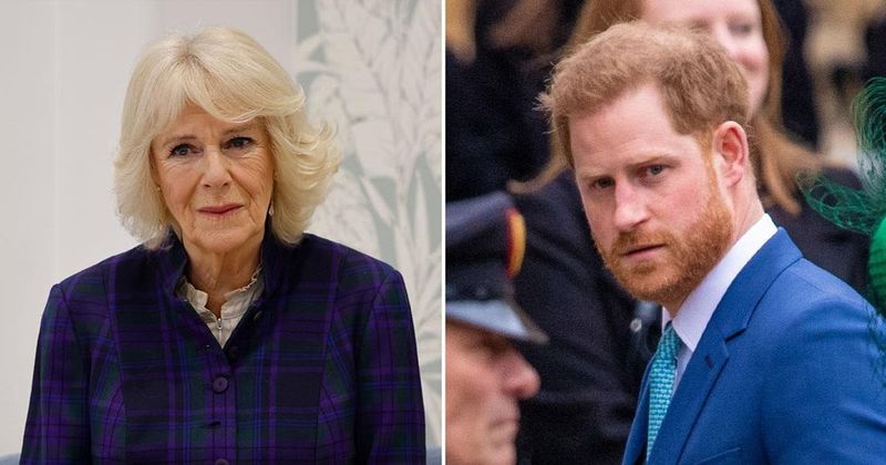 Queen Consort Camilla Is 'Astounded' By Prince Harry's Bombshell Claims, Insider Reveals
